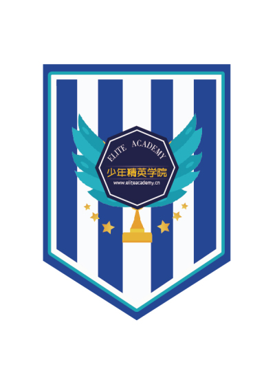 足球俱乐部队旗设计