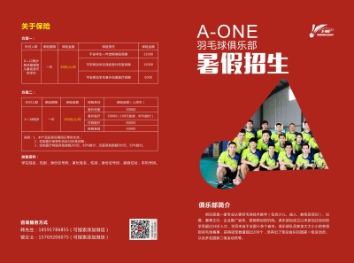 A-ONE宣传单和展架设计