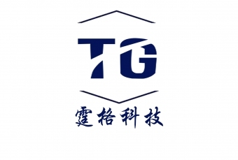 霆格科技logo设计