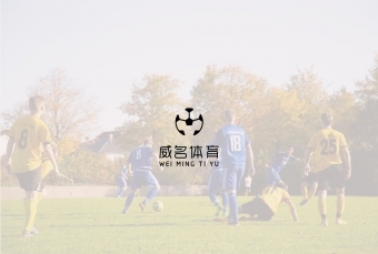logo设计—威名体育app