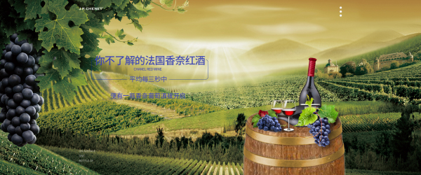 香奈葡萄酒banner设计