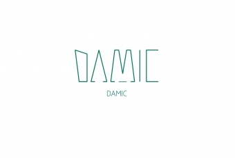 DAMIC logo