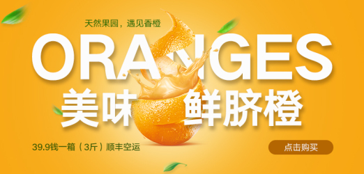 banner---赣州脐橙