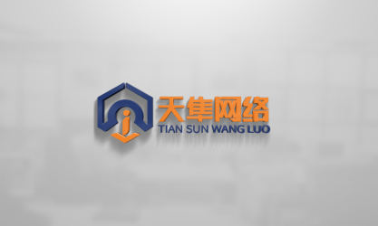 logo---天隼网络