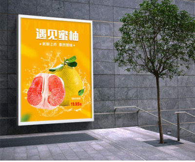 海报---遇见蜜柚