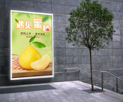 海报---遇见蜜柚
