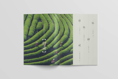 画册---山水茶