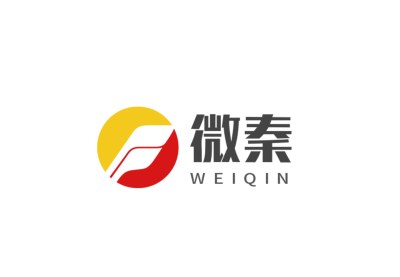 logo---杭州微秦科技有限公司
