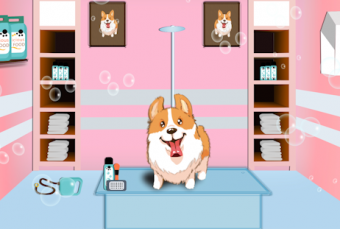 MG循环动画---宠物护理